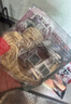 味千拉面猪猪骨汤日式拉面305g*3(6人份含料包) 速食方便面 挂面面条面食 实拍图