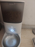 霍曼（Homerun）Real智能自动喂食器猫粮定时猫猫咪自动投食机PF20（不锈钢碗） 实拍图