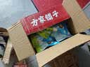 奶酪博士高钙醇选儿童奶酪棒90g 宝宝奶酪儿童零食≥51%干酪享婴幼儿食谱 实拍图