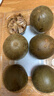 艺福堂花草茶 罗汉果大果养生茶100g 广西特产干果清润凉茶秋梨膏配方 实拍图