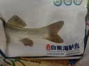 仙泉湖冷冻三去白蕉海鲈鱼700g/袋(2条装)肉厚刺少水产生鲜食材 实拍图
