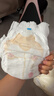 好奇（Huggies）软萌星人柯基裤拉拉裤L32片(9-14kg)尿不湿【软糯贴贴】 实拍图