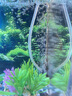 森森鱼缸增氧泵水族箱氧气泵LQE-50家用小型充氧泵3W单孔+全套配件 实拍图
