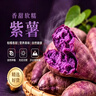 紫罗兰红薯沙地现挖紫薯宝宝辅食紫芋头山芋苕粗粮新鲜包邮 紫薯3斤大果 优选款 实拍图