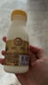 每日鲜语鲜牛奶 A2β-酪蛋白鲜牛奶185ml*6 巴氏杀菌乳 低温鲜奶 实拍图