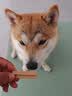 麦富迪狗狗零食磨牙棒泰迪成幼犬磨牙 清新口气咬胶混合味220g*6 实拍图