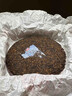 大益TAETEA茶叶普洱茶熟茶50周年纪念金针白莲357g2301批次 高品熟茶 实拍图
