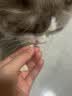 皇后的猫宠物排毛冻干车前子角蛋白酶排毛晶球颗粒长毛猫舔毛猫狗 长效护排 3盒 270颗 + 送3袋试吃装 【本产品由PICC中国人保承保】 实拍图