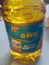 福临门食用油葵花籽清香型食用植物调和油5升*4 整箱 新老包装随机 实拍图