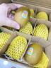 佳沛（zespri）新西兰 阳光金奇异果12粒特大果单果124-146g 猕猴桃水果礼盒 实拍图
