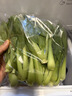 七鲜24小时富硒头茬平菇 300g 实拍图