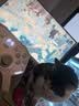 北通鲲鹏40游戏手柄AI智控双切扳机无线蓝牙震动体感 xbox电脑PC手机steam电视NSswitch2 深海迷航 实拍图