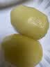 佳沛（zespri）新西兰阳光金奇异果18粒礼盒优选果单果103-124g 猕猴桃水果礼盒 实拍图
