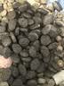 愛肯拿（ACANA）猫粮 海洋盛宴成猫幼猫粮 全价美毛无谷进口鱼肉粮1.8kg效期27/4 实拍图