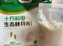 十月稻田 生态胚芽米 90%留胚 5斤(粥米 东北大米 2.5kg) 实拍图