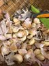春平赋2026年新鲜干大蒜头大蒜批发红皮蒜干蒜炒菜香 5斤【果径3-5cm]净重4.7斤 实拍图