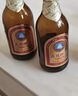 青岛啤酒（TsingTao）金质小棕金低温酿造296ml*6瓶 实拍图