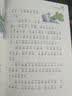 夏览华章 一升二 春晓裁缝店 一升二春晓裁缝店 快乐读书吧一升二 四川少年儿童出版社 一只想飞的猫追梦记 孤独的小螃蟹西瓜船 2026暑假 读读童话故事1七颗钻石 读读童话故事2月亮泡 春晓裁缝店 一 实拍图