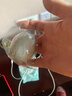 秦邮高邮松花蛋330g(55g*6枚)品尝装 即食分享下酒凉拌 煲汤配粥 烹饪 实拍图
