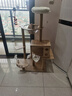 珑小宠猫爬架猫窝加粗大型猫树一体太空舱猫架子小户型不占地麻绳猫玩具 127cm 4层 【太空舱木屋款】 实拍图