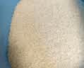 金龙鱼乳玉皇妃 新季稻谷 稻香贡米 东北大米 香米 粳米5kg*2/箱装 实拍图