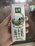 伊利【新鲜日期】金典纯牛奶早餐奶250ml*16盒3.6g乳蛋白 礼盒装 6月 实拍图