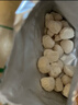 英氏婴幼儿益生菌溶豆苹果味 宝宝婴儿零食辅食18g 6个月以上 实拍图