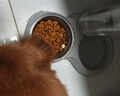 好主人狗粮 全犬种通用成犬粮2.5kg泰迪金毛拉布拉多比熊天然粮5斤/20斤 全犬种成犬粮5斤 实拍图