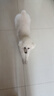 冠能狗粮小型犬成犬狗粮2.5kg 挑食美毛亮眼 全价狗粮  实拍图