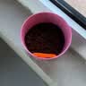 IAM City Farmer薄荷DIY可食用植物盆栽种子幼儿园趣味种植开学季中秋节礼物10082 实拍图