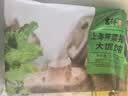 吉祥馄饨上海荠菜猪肉大馄饨521g 18只生鲜水饺云吞混沌早餐半成品 实拍图