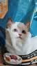 亿迪 冻干猫粮幼猫成猫10斤全价布偶蓝猫英短成年全阶段 实拍图
