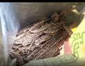 疯狂小狗 狗零食礼包泰迪金毛通用宠物磨牙训犬送礼礼盒 缤纷大礼包2.37kg 实拍图