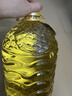 多力葵花籽油6.18L一级物理压榨 家用食用油 实拍图