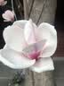 Canon七夕礼物佳能r50入门级微单反 半画幅数码相机 4k美颜小巧便携送礼物 R50 18-45黑套机+RF50 1.8 【双镜头】 套餐一【128G内存卡~摄影包+备用电池+卡通礼】 实拍图