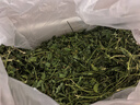 喜帅烘干紫花苜蓿草 幼兔兔粮牧草干草龙猫荷兰猪磨牙饲料净重750g 实拍图