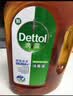 滴露（Dettol）消毒液消毒水衣物除菌液洗衣服地板杀菌除螨消毒喷雾片非84次氯酸 【灭活HPV16】消毒液松木1.8L*2瓶 实拍图
