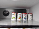 优诺（yoplait）优丝金菠萝酸奶135g*3杯 经典法式慢发酵 低温酸牛奶 营养早餐 实拍图