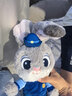 迪士尼（Disney）疯狂动物城朱迪斜挎包兔子玩偶包毛绒玩具生日七夕情人节礼物女孩 实拍图