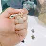 范爷家金属拉链头拉片5个可拆卸替换外套羽绒服包包衣服小孔拉坠配件 实拍图