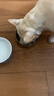 皇家狗粮 斗牛犬成犬狗粮 犬粮 宠物中型犬 FBA26 全价犬粮 ≥12月3KG 实拍图