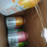 西域春奶啤300ml*12/8/6罐整箱多规格乳酸菌发酵奶啤饮品网红酸牛奶 6口味*各2罐【12罐组合】 实拍图