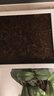 史丹利大块椰砖4.5KG 营养土椰糠养花通用型花土椰壳种菜专用脱盐椰子土 实拍图