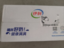 伊利【新鲜日期】纯牛奶苗条装 200ml*24盒优质乳蛋白 礼盒装 6月产 实拍图