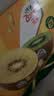 佳沛（zespri）绿奇异果特大果22-25个原箱装单果约135-176g 猕猴桃 水果 实拍图