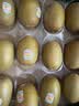 佳沛（zespri）新西兰 阳光金奇异果12粒特大果单果124-146g 猕猴桃水果礼盒 实拍图