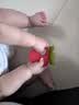 babycare宝宝牙胶磨牙咬咬胶棒婴儿玩具水果安抚牙胶婴儿用品 草莓 实拍图