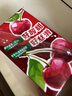 伊利【时代少年团同款】优酸乳车厘子味250ml*24盒 乳饮料牛奶饮品 实拍图