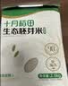 十月稻田 胚芽米 3斤（东北大米 杂粮伴侣 粥米 小包装1.5kg） 实拍图