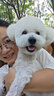 安贝安诺狗粮  泰迪金毛柯基萨摩全犬种成犬狗粮3kg升级版新包装 成犬3kg 实拍图